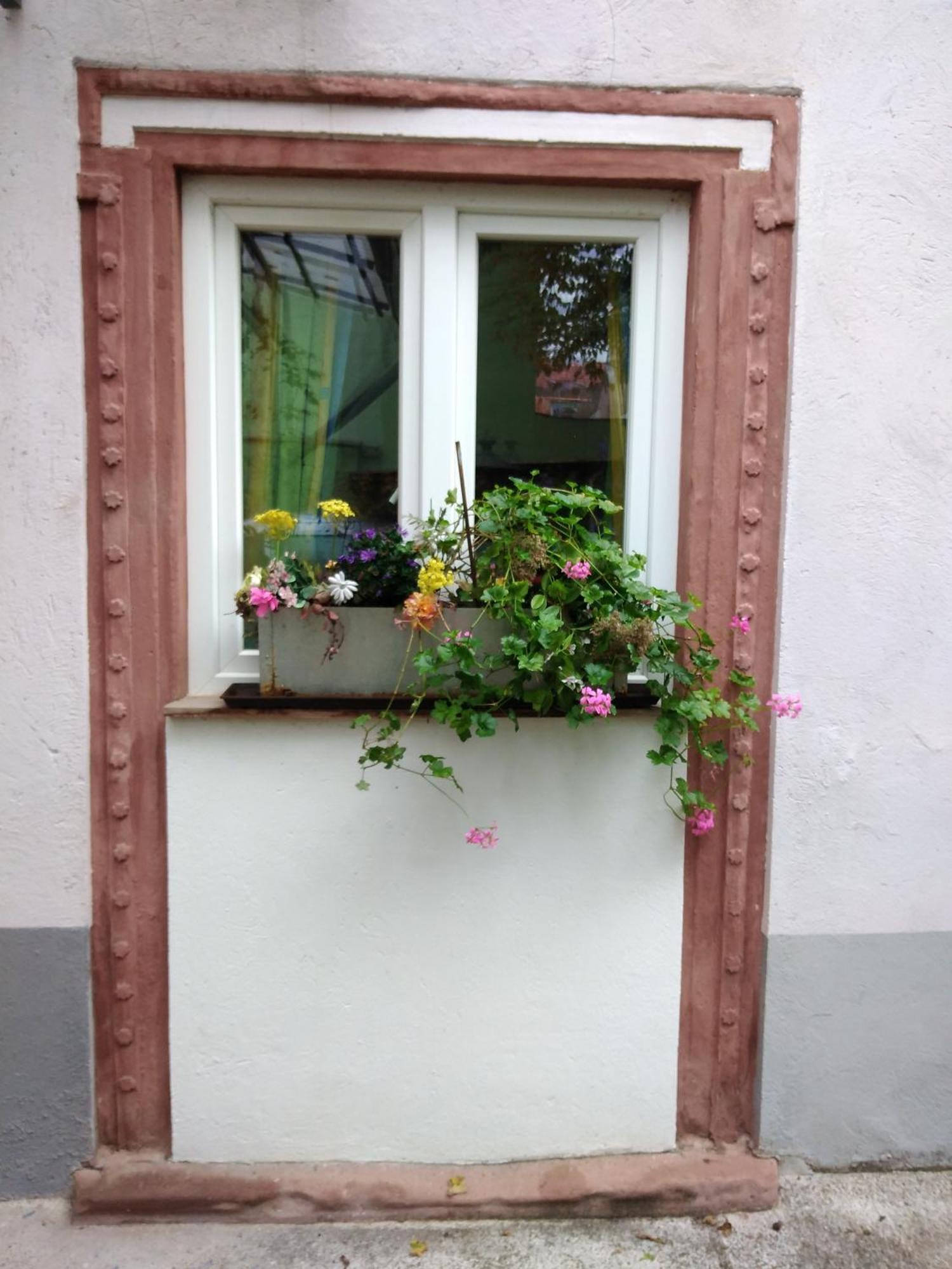 Apartamento Appertment Im Garten Worms Exterior foto