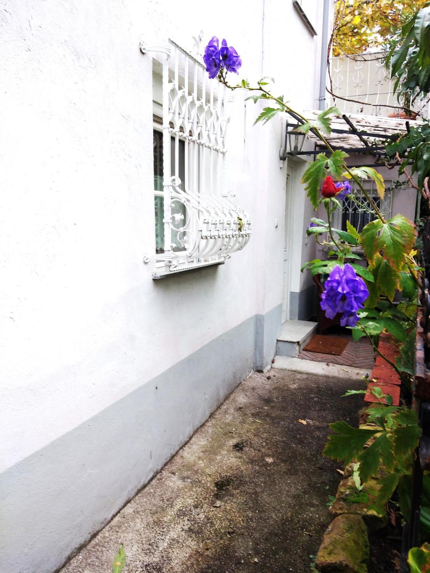 Apartamento Appertment Im Garten Worms Exterior foto